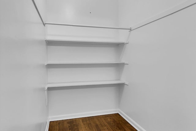 walk in closet with hardwood / wood-style floors