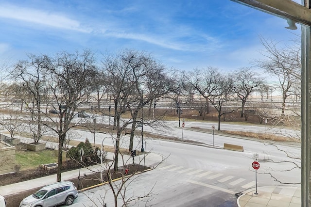 view of snowy yard