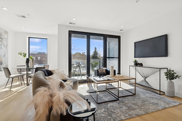 living room featuring hardwood / wood-style flooring