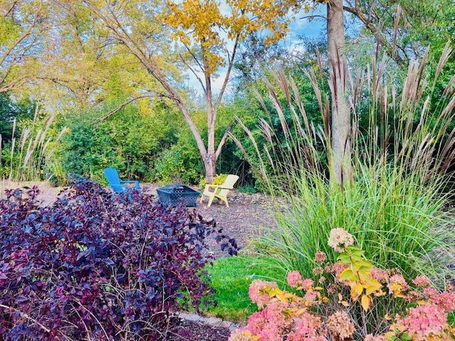 view of yard with a fire pit