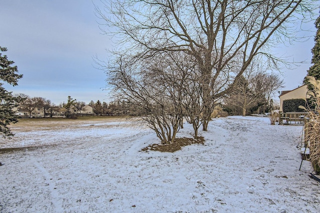 view of snowy yard