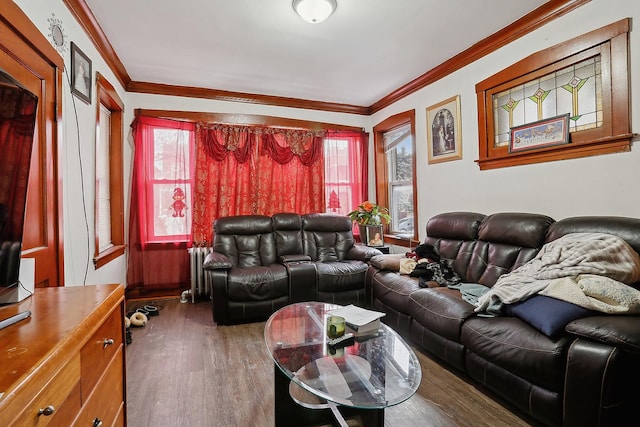 living room featuring dark wood-type flooring, radiator heating unit, and crown molding