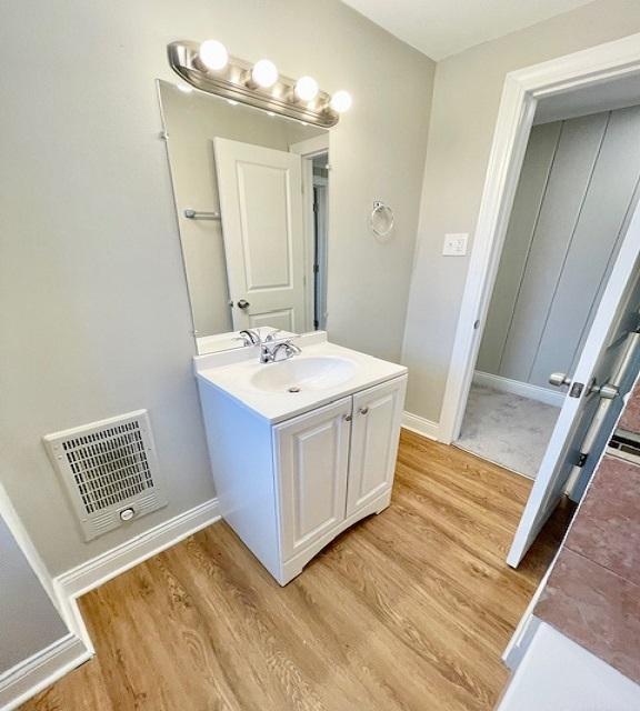 bathroom with wood-type flooring and vanity