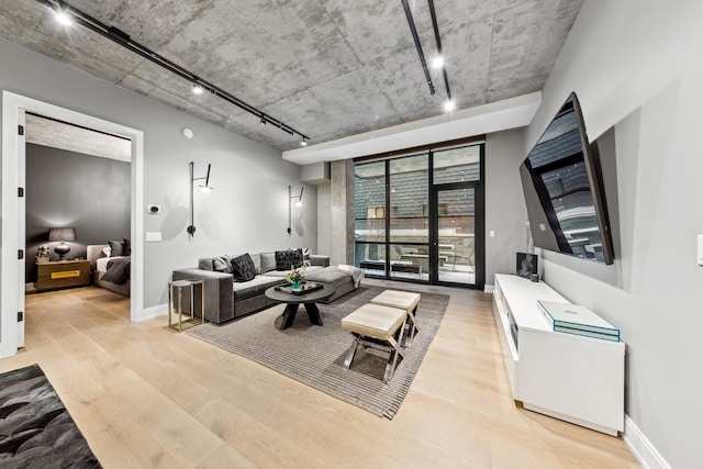 living room featuring light hardwood / wood-style flooring and rail lighting