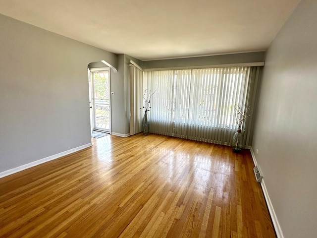 empty room featuring light hardwood / wood-style flooring and a healthy amount of sunlight