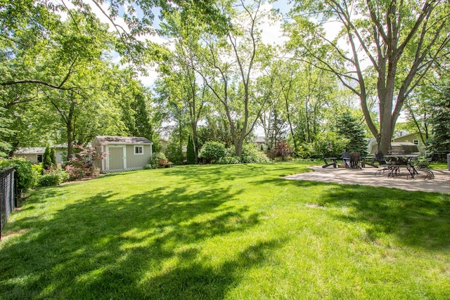 view of yard featuring a storage shed and a patio area