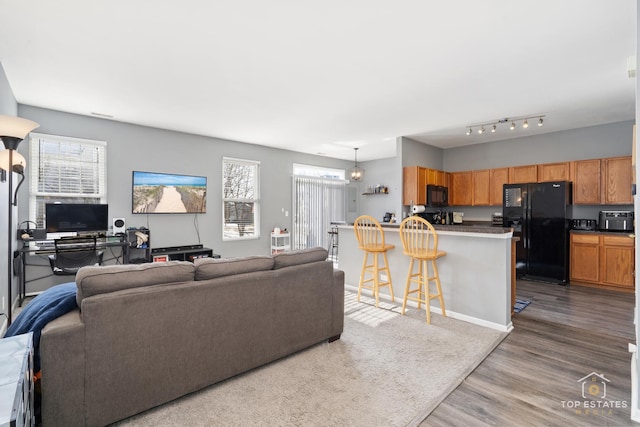 living room with wood-type flooring and plenty of natural light