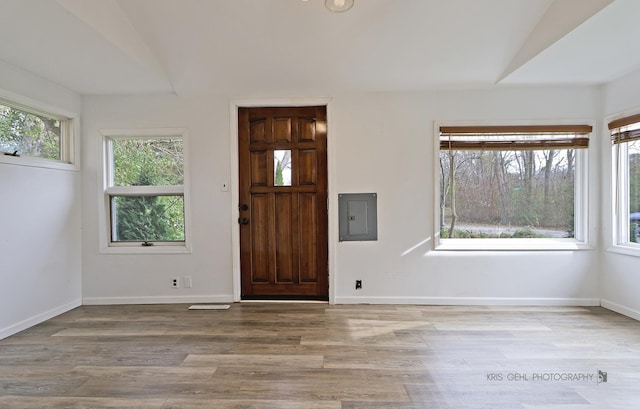 entryway with vaulted ceiling, a wealth of natural light, electric panel, and light wood-type flooring