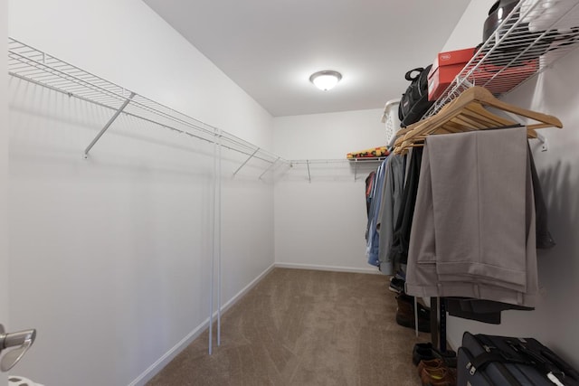 spacious closet with carpet floors