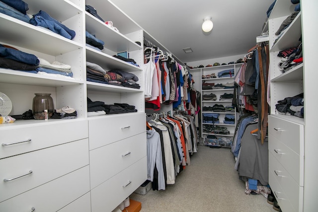 view of spacious closet