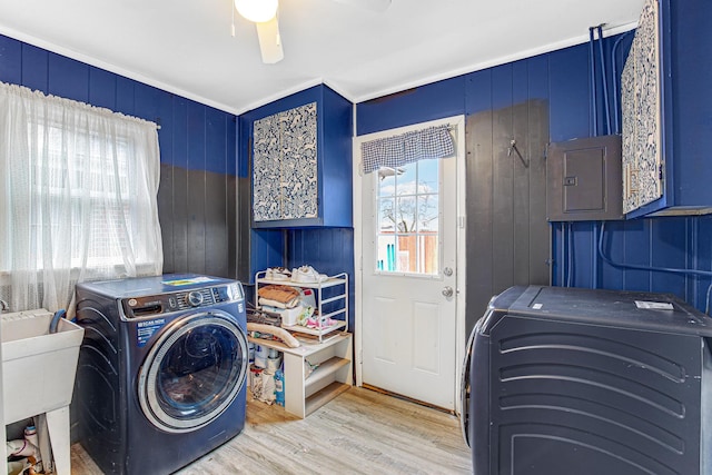 clothes washing area with sink, light hardwood / wood-style flooring, ceiling fan, electric panel, and washing machine and dryer