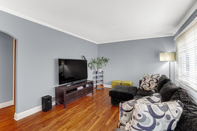 living room featuring hardwood / wood-style floors, crown molding, and a wealth of natural light