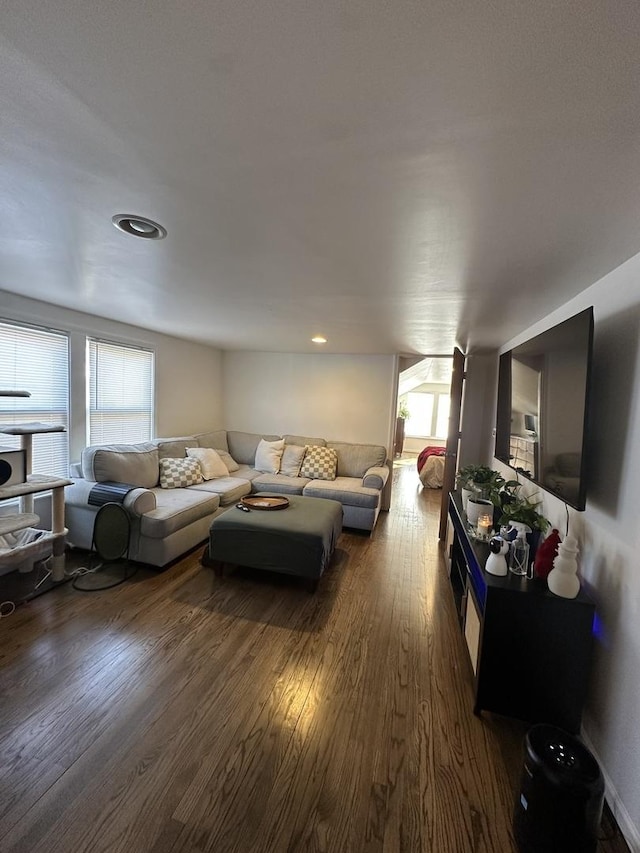 living room featuring dark hardwood / wood-style flooring