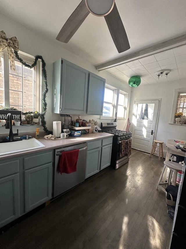 kitchen featuring appliances with stainless steel finishes, dark hardwood / wood-style flooring, and sink