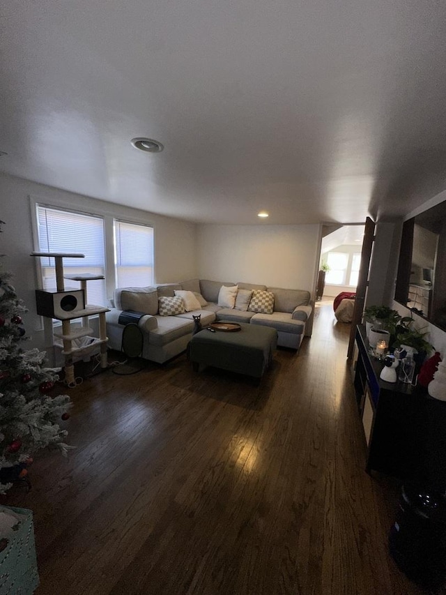 living room featuring dark wood-type flooring