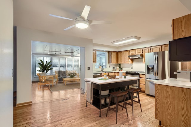 kitchen featuring a healthy amount of sunlight, stainless steel appliances, sink, and light hardwood / wood-style floors