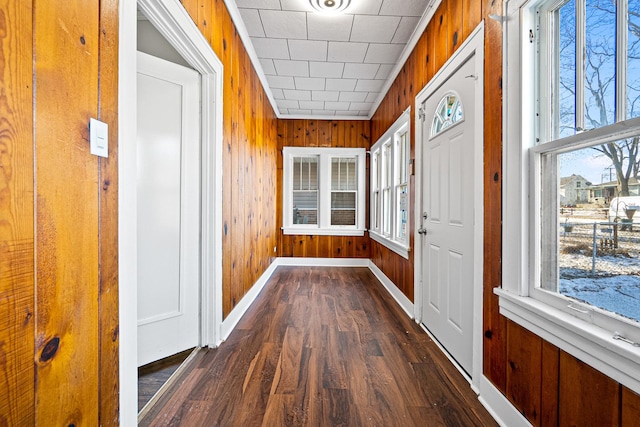 doorway featuring wooden walls and a healthy amount of sunlight