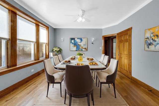 dining room featuring ceiling fan, ornamental molding, and light wood-type flooring