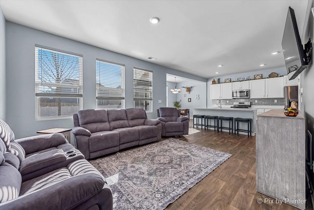 living room featuring dark hardwood / wood-style floors and sink