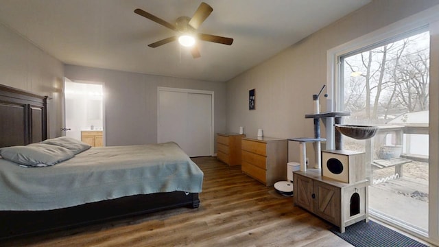 bedroom with ceiling fan, ensuite bath, hardwood / wood-style floors, and a closet