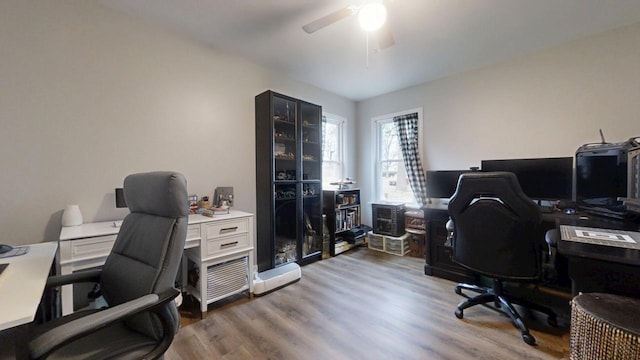 office featuring ceiling fan and dark hardwood / wood-style flooring