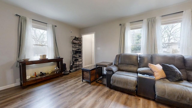 living room featuring hardwood / wood-style flooring and a wealth of natural light