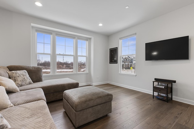 living room with dark hardwood / wood-style floors