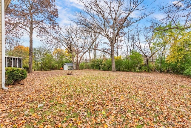 view of yard with a storage shed