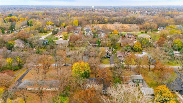 drone / aerial view