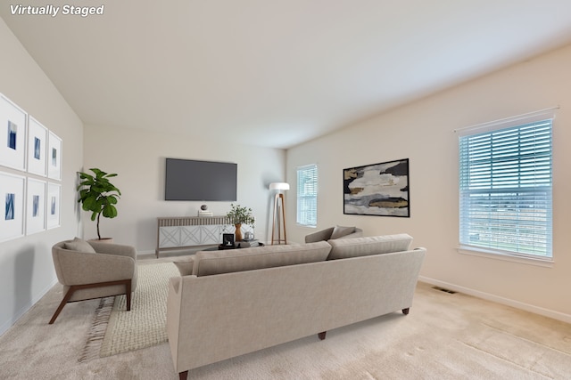 carpeted living room with a wealth of natural light