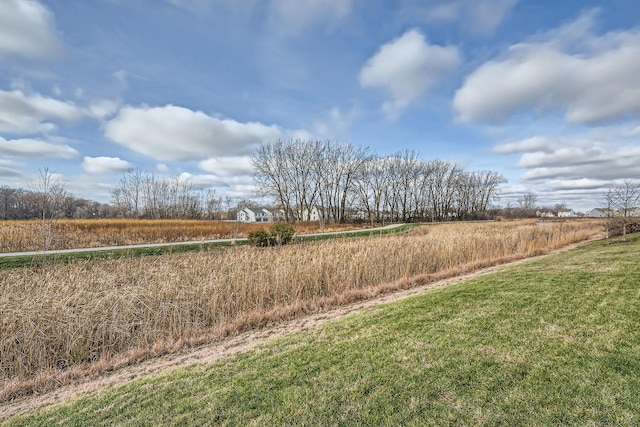 view of yard with a rural view