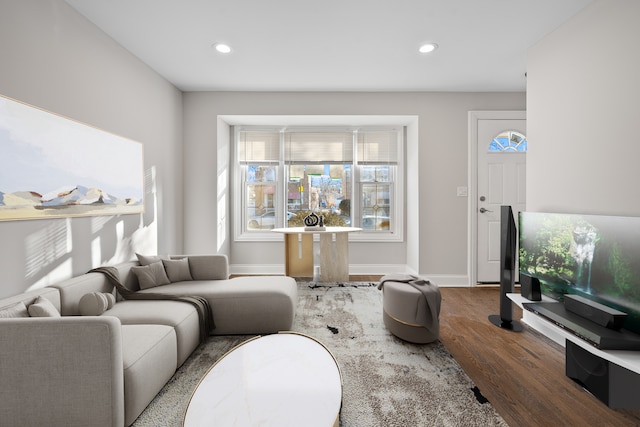 living room with hardwood / wood-style flooring