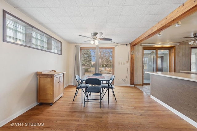 dining area featuring light hardwood / wood-style flooring and ceiling fan