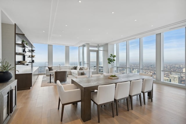 dining room featuring expansive windows, a wealth of natural light, and light wood-type flooring