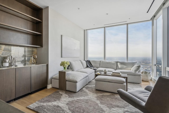 living room featuring expansive windows and light hardwood / wood-style flooring