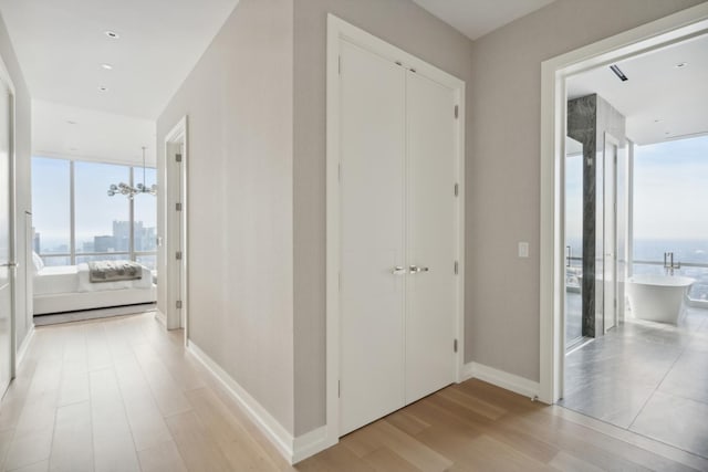 hallway with expansive windows and light wood-type flooring