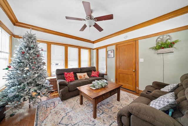 living room featuring crown molding, ceiling fan, and light wood-type flooring