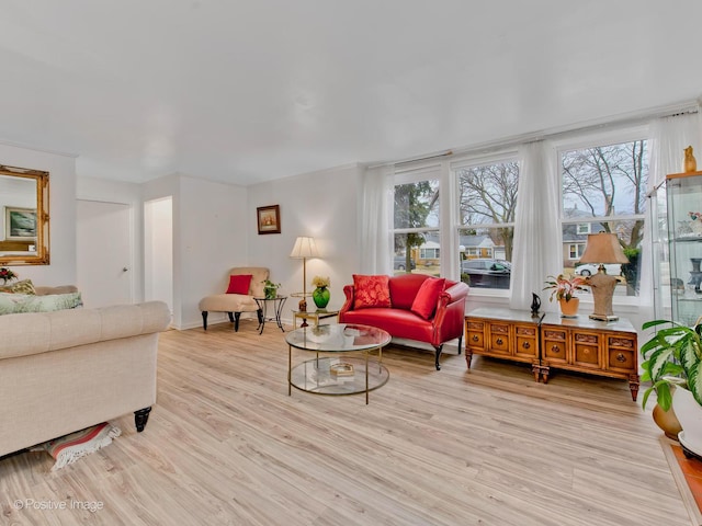 living room featuring light hardwood / wood-style flooring