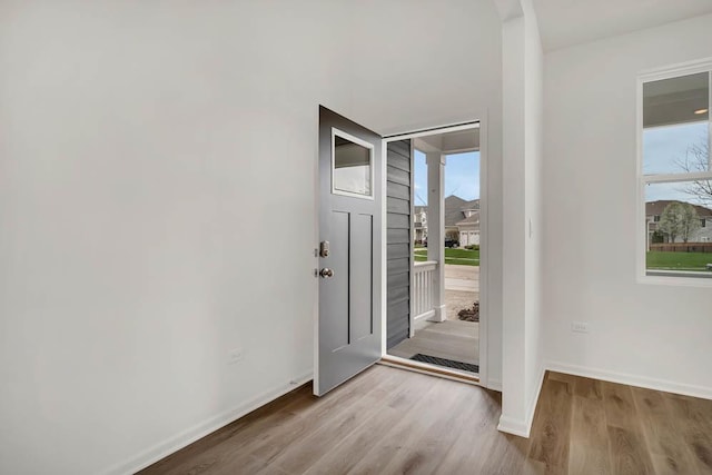 foyer featuring a wealth of natural light and light hardwood / wood-style floors