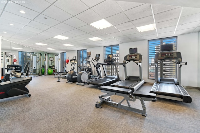 workout area featuring carpet flooring and a paneled ceiling