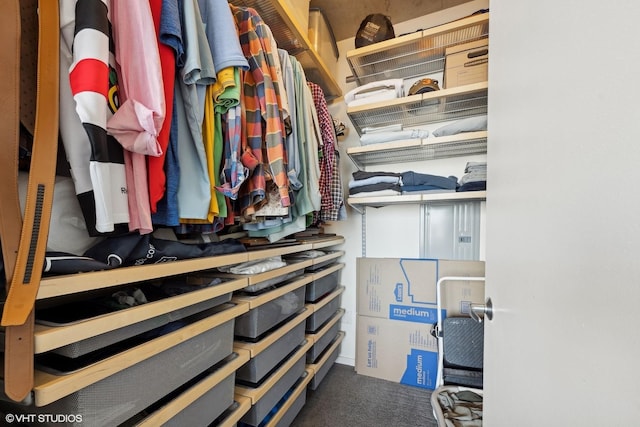 spacious closet with carpet flooring