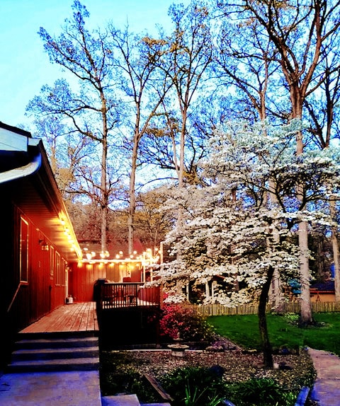 view of yard featuring a deck