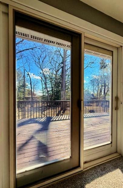 doorway to outside with a wealth of natural light