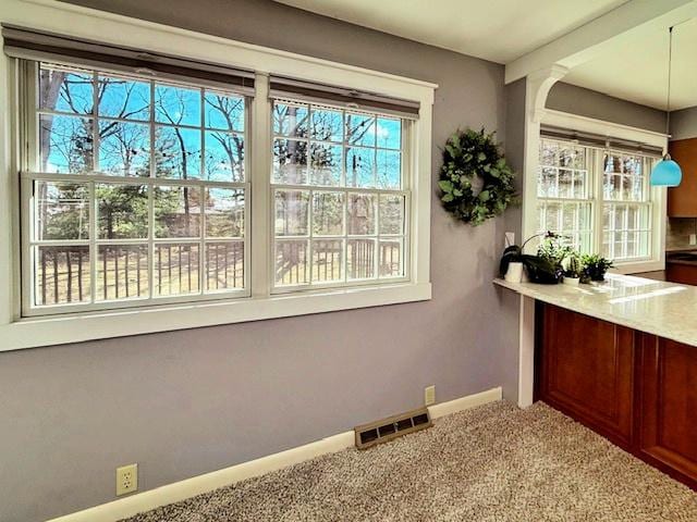 interior space with visible vents, carpet, and baseboards