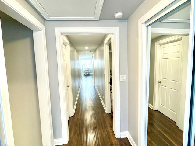 corridor with dark wood-type flooring