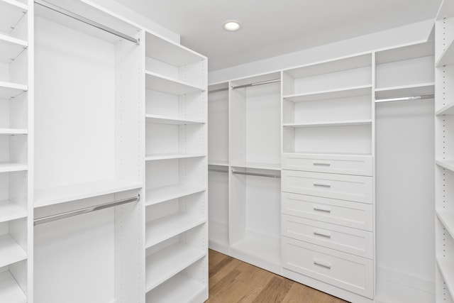 spacious closet with light wood-type flooring