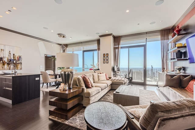 living room with ornamental molding, floor to ceiling windows, dark hardwood / wood-style flooring, and sink