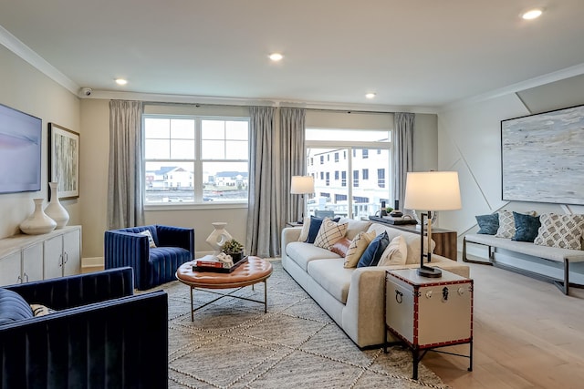 living room featuring crown molding and light hardwood / wood-style flooring