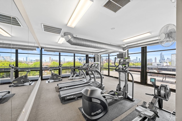 1000 W 15th St Unit 116, Chicago, IL 60608 - exercise room featuring a wall of windows