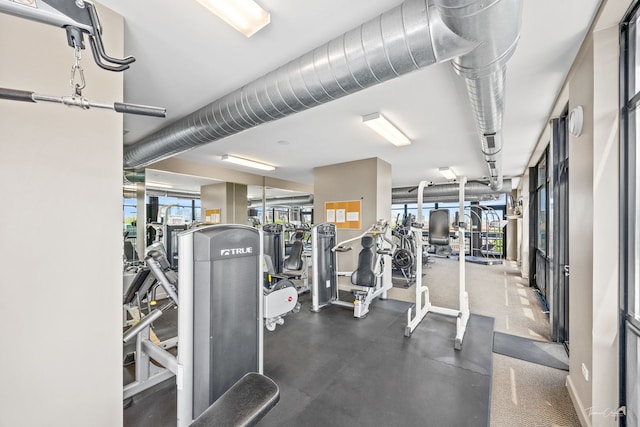 1000 W 15th St Unit 116, Chicago, IL 60608 - exercise room with plenty of natural light